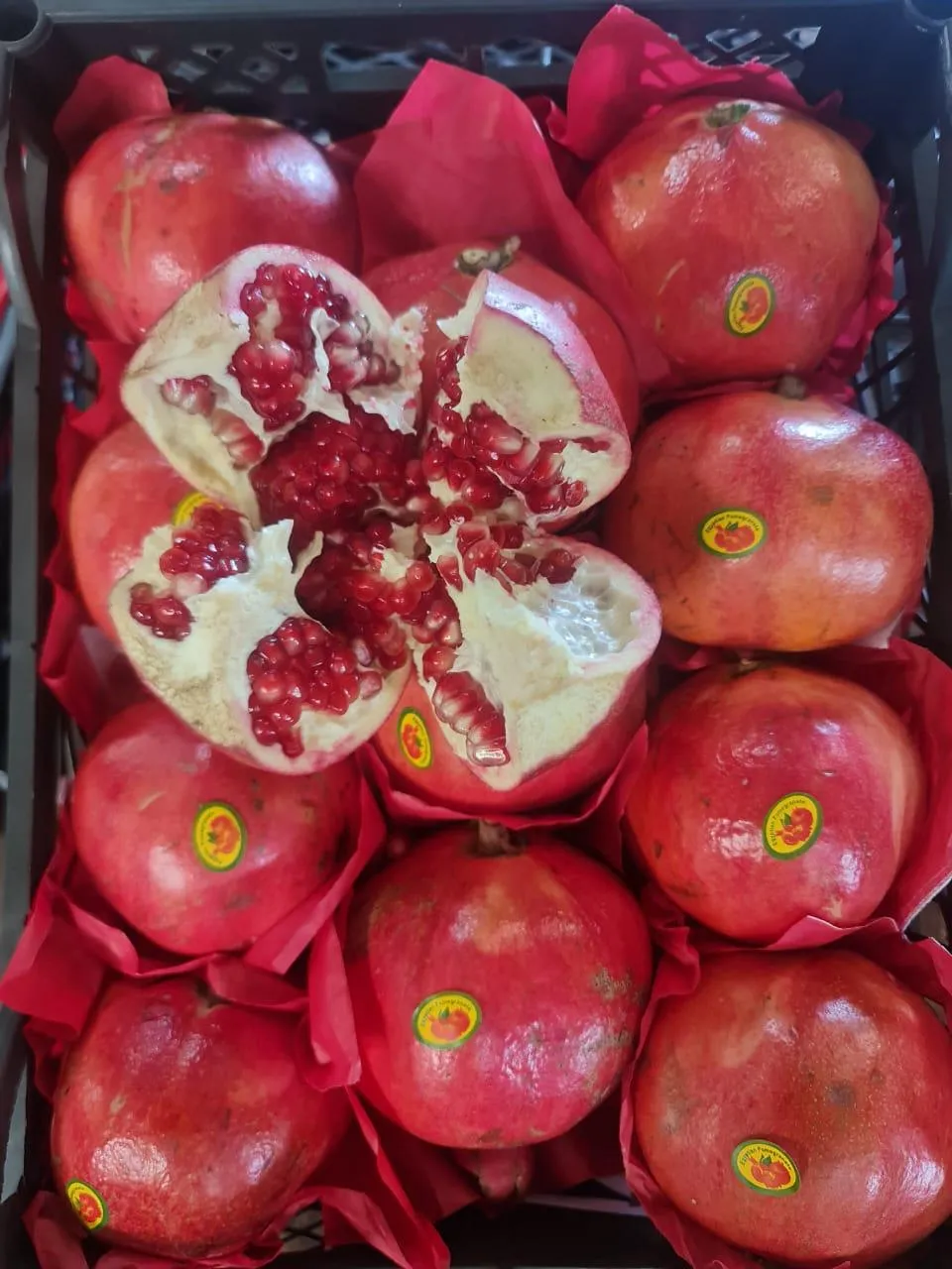 Pomegranate