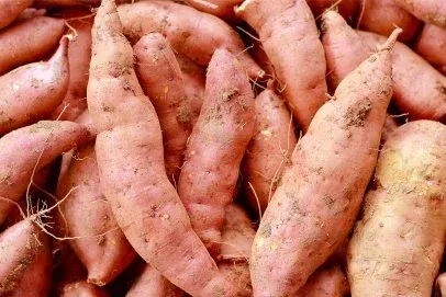 Sweet potato